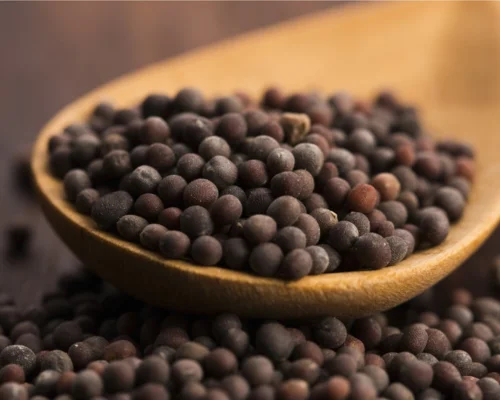 Premium Mustard Seeds